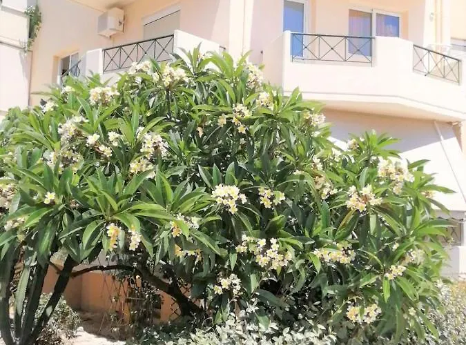 Appartement Rodini Sun